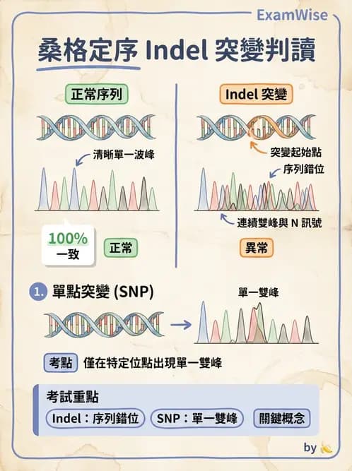 醫檢師 - 定序電泳與表觀分析 - AI 圖文解析預覽
