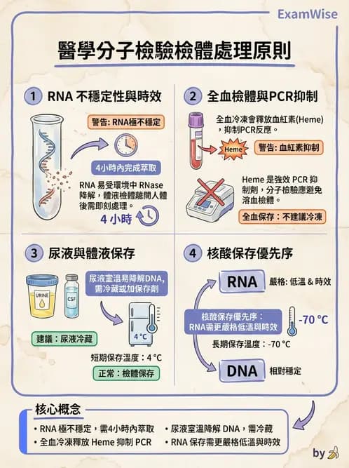 醫檢師 - 分子檢驗品質管理 - AI 圖文解析預覽