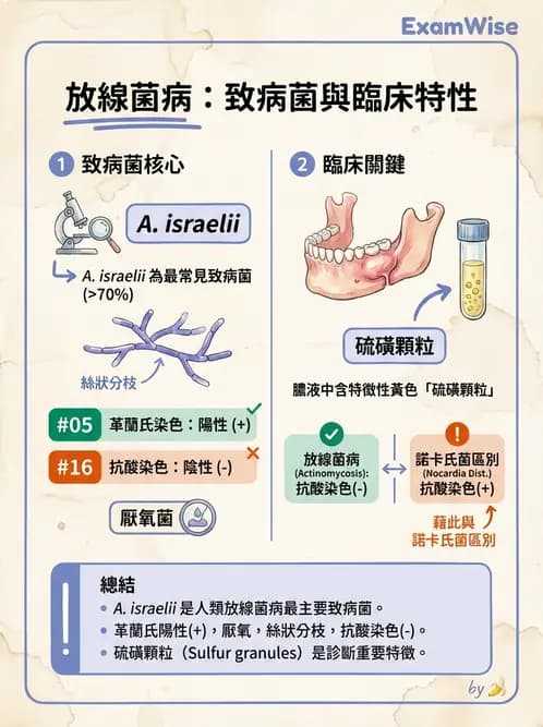 醫檢師 - 厭氧菌 - AI 圖文解析預覽
