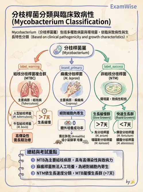醫檢師 - 分枝桿菌 - AI 圖文解析預覽