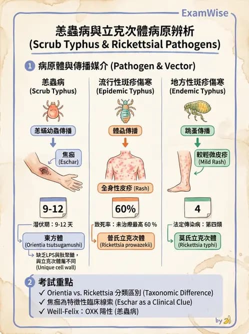 醫檢師 - 特殊病原體 - AI 圖文解析預覽