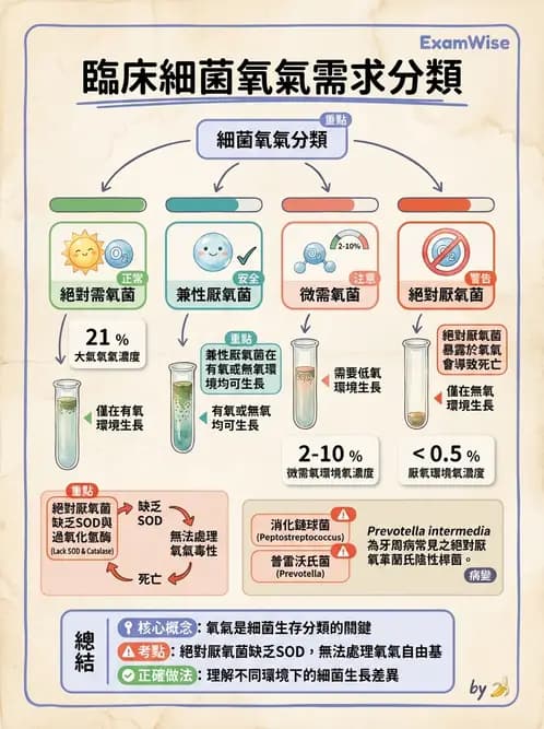 醫檢師 - 厭氧菌 - AI 圖文解析預覽