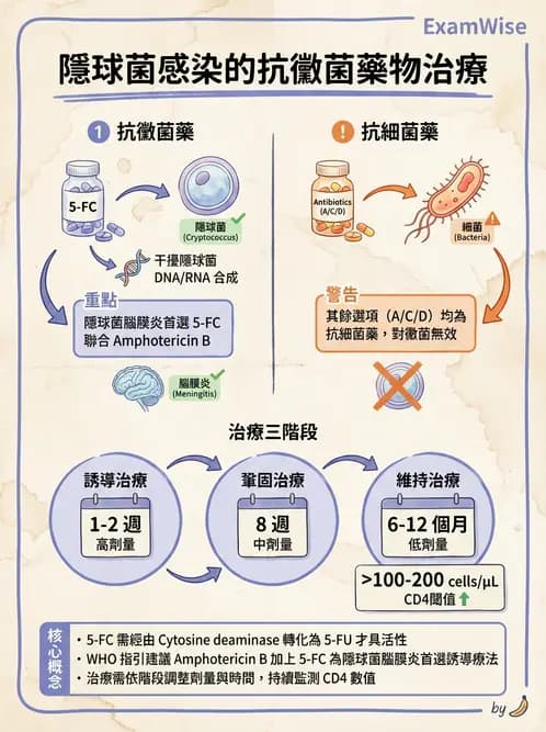 醫檢師 - 真菌診斷與治療 - AI 圖文解析預覽