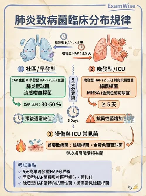 醫檢師 - 感染症與院內感染 - AI 圖文解析預覽