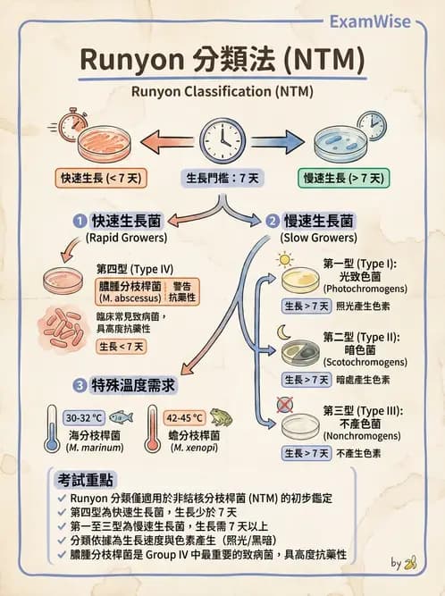 醫檢師 - 分枝桿菌 - AI 圖文解析預覽