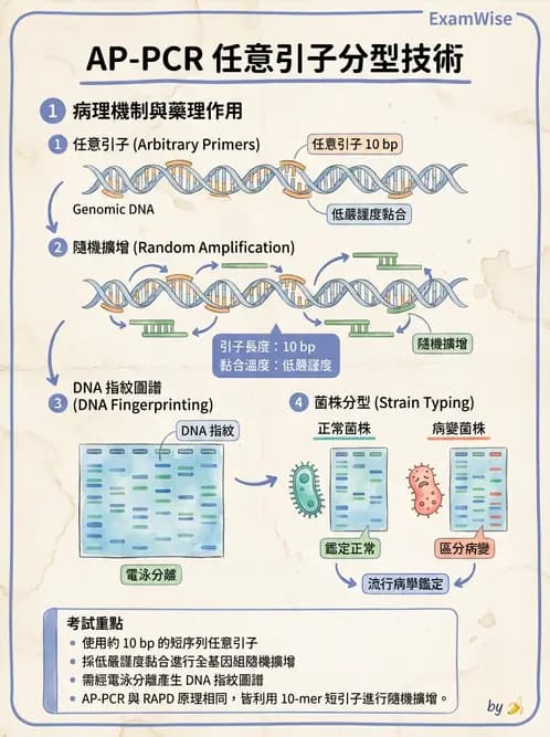 醫檢師 - 檢驗基礎技術 - AI 圖文解析預覽