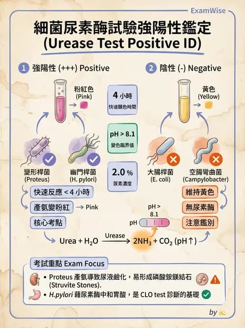 醫檢師 - 綜合性試題 - AI 圖文解析預覽