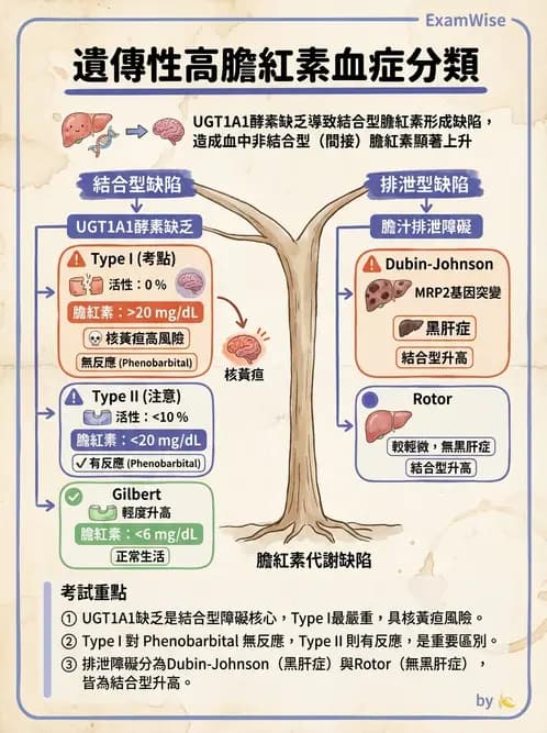 醫檢師 - 肝臟機能與胰臟酵素 - AI 圖文解析預覽