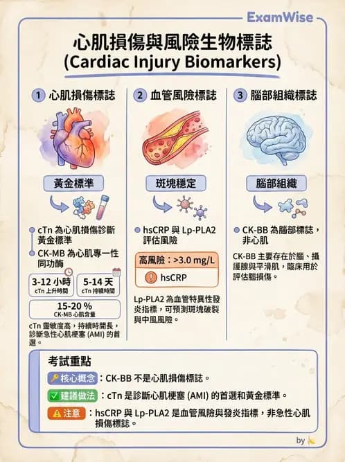 醫檢師 - 心肌標誌與心臟診斷 - AI 圖文解析預覽