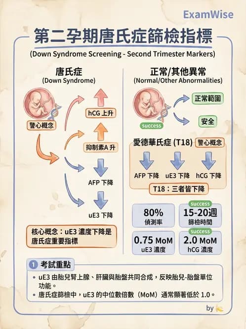 醫檢師 - 腎上腺與生殖內分泌 - AI 圖文解析預覽