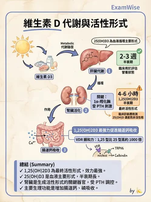醫檢師 - 電解質與微量元素 - AI 圖文解析預覽