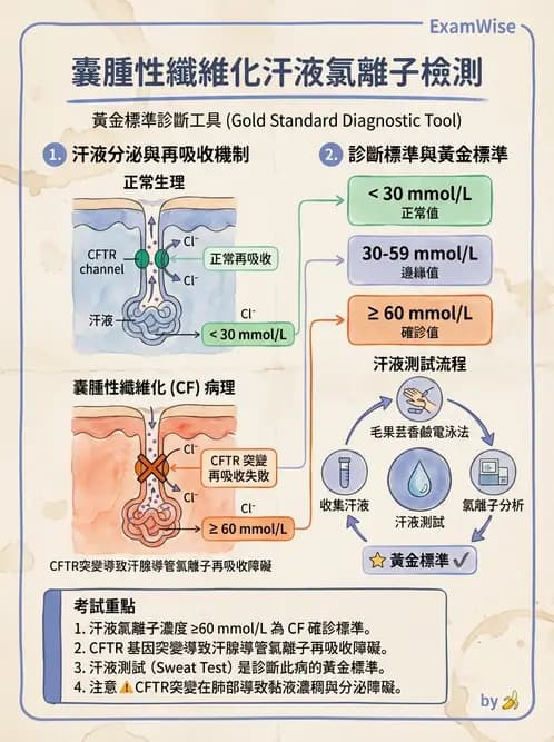 醫檢師 - 電解質與微量元素 - AI 圖文解析預覽