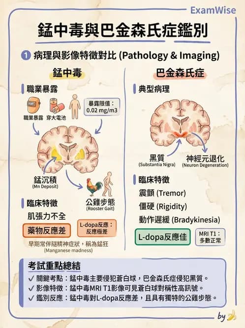 醫檢師 - 治療藥物監測與毒物學 - AI 圖文解析預覽