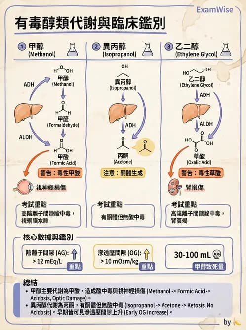 醫檢師 - 治療藥物監測與毒物學 - AI 圖文解析預覽