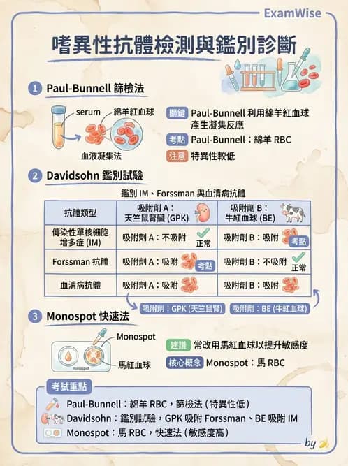 醫檢師 - 急性發炎蛋白與微生物感染血清學 - AI 圖文解析預覽
