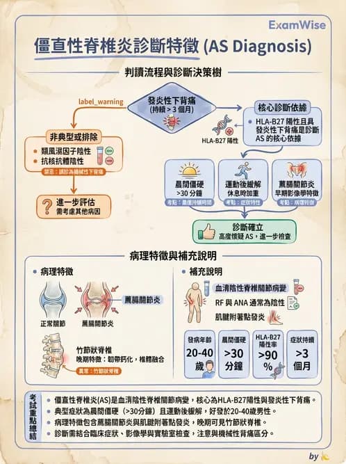 醫檢師 - 其他自體免疫疾病與自體抗體檢驗 - AI 圖文解析預覽