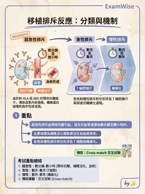 醫檢師 - 組織型與移植免疫學 - AI 圖文解析預覽