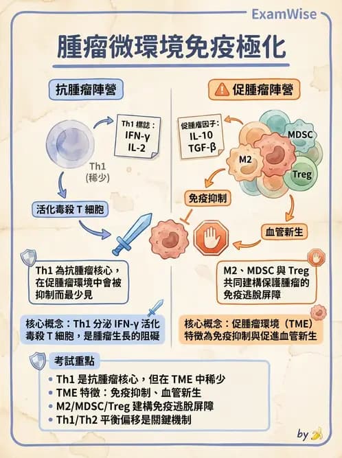 醫檢師 - 腫瘤免疫學免疫療法及疫苗 - AI 圖文解析預覽