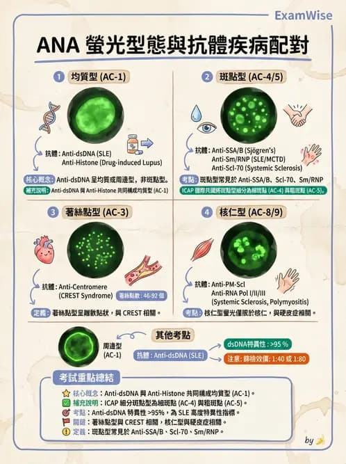 醫檢師 - 其他自體免疫疾病與自體抗體檢驗 - AI 圖文解析預覽