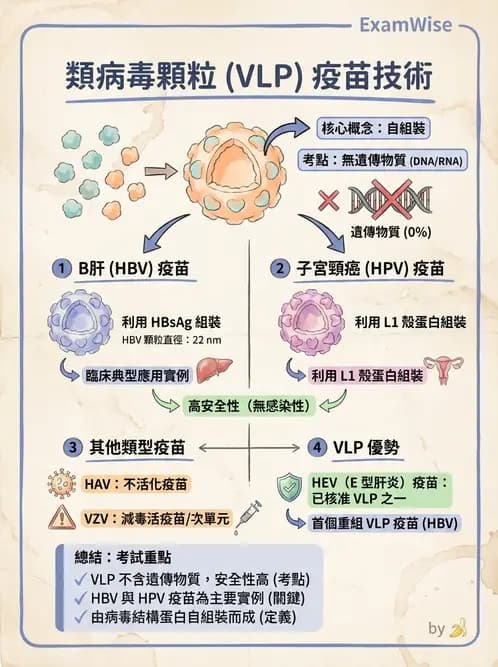 醫檢師 - 抗病毒藥物與疫苗通論 - AI 圖文解析預覽
