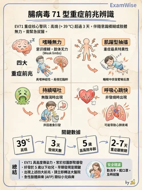 醫檢師 - 小RNA病毒科與腸道病毒 - AI 圖文解析預覽