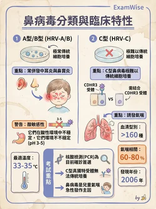 醫檢師 - 小RNA病毒科與腸道病毒 - AI 圖文解析預覽