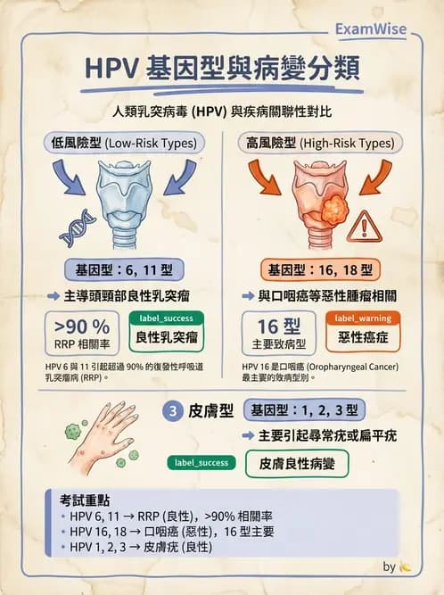 醫檢師 - 人類乳突病毒 - AI 圖文解析預覽
