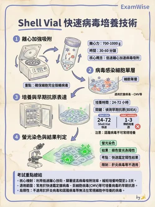 醫檢師 - 病毒檢驗技術 - AI 圖文解析預覽