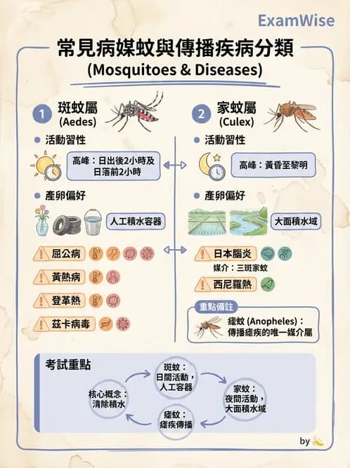 醫檢師 - 黃病毒科與蟲媒病毒 - AI 圖文解析預覽