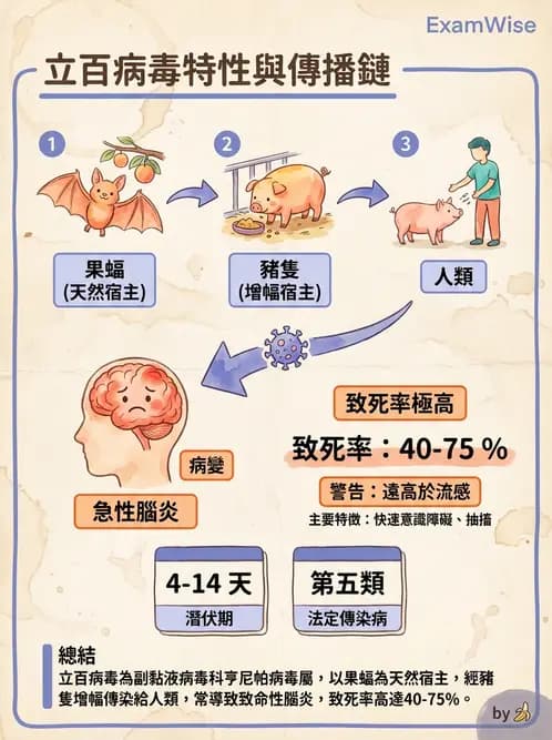醫檢師 - 副黏液病毒科 - AI 圖文解析預覽