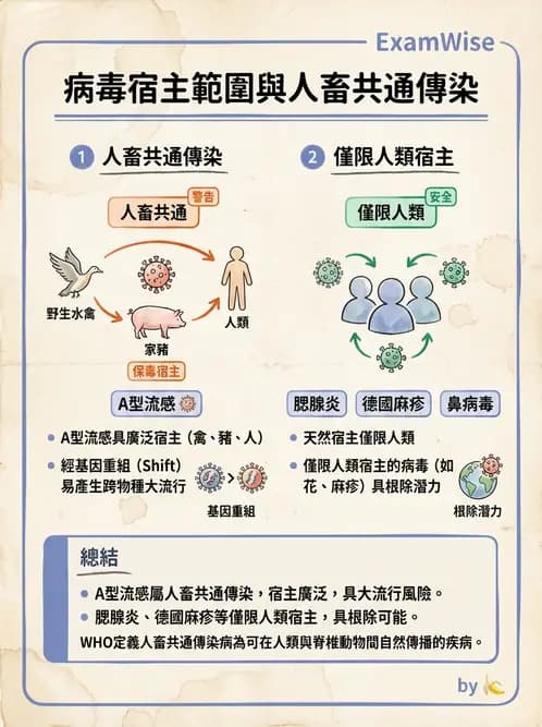 醫檢師 - 正黏液病毒科(流感) - AI 圖文解析預覽