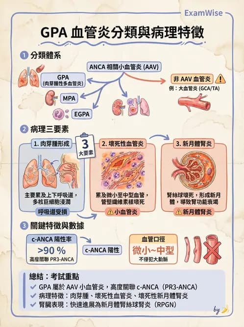 放射 - 心臟及血管疾病 - AI 圖文解析預覽