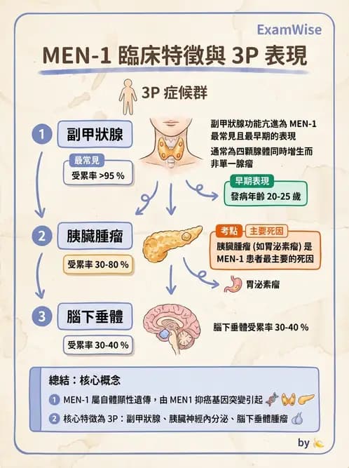 放射 - 內分泌系統疾病 - AI 圖文解析預覽