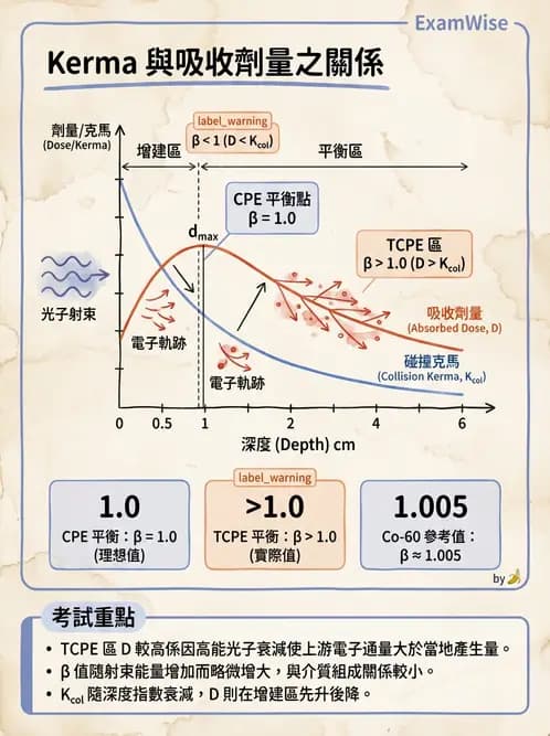 放射 - 劑量測定與計算 - AI 圖文解析預覽