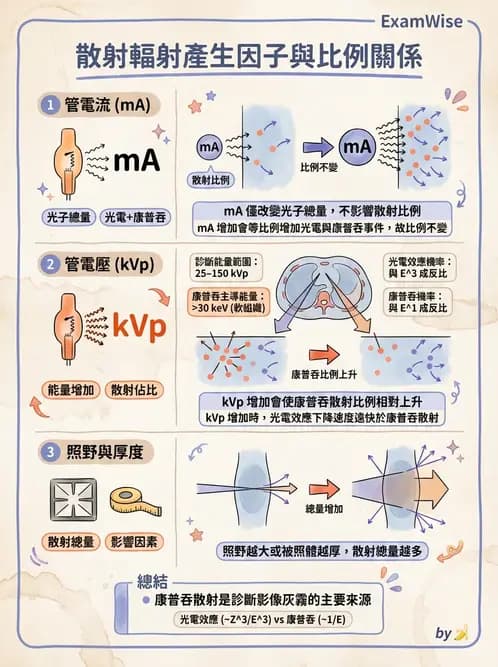 放射 - 曝光因子與影像品質 - AI 圖文解析預覽