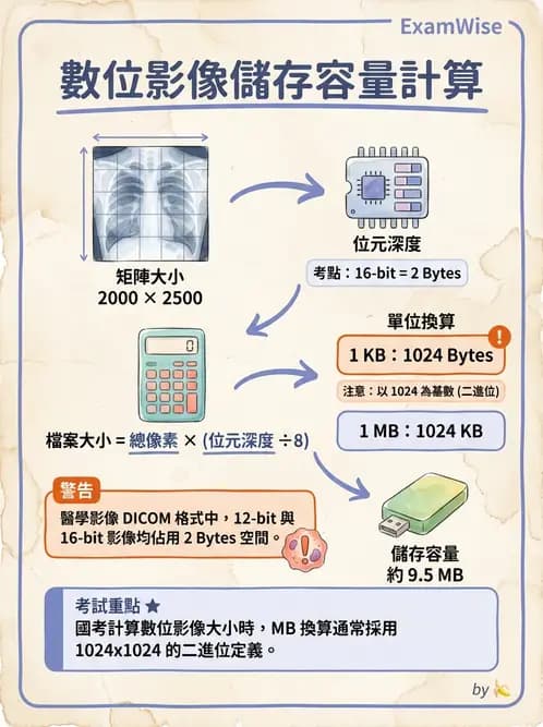 放射 - 透視與數位影像 - AI 圖文解析預覽