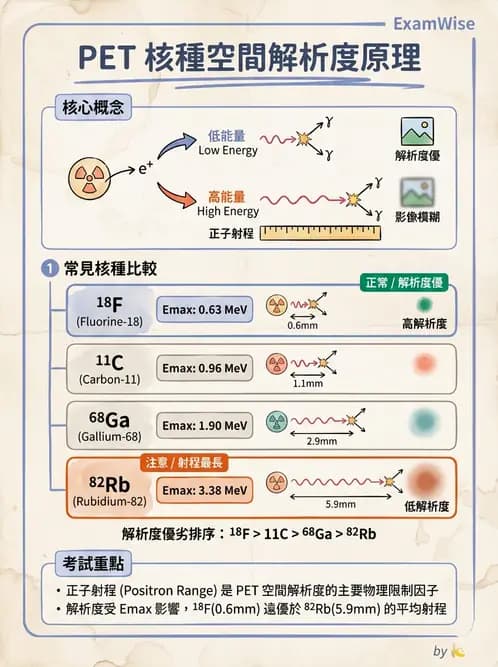 放射 - 核子醫學物理 - AI 圖文解析預覽