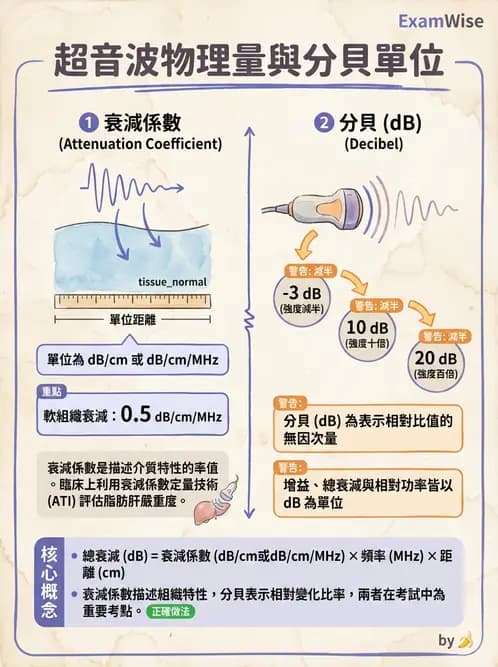 放射 - 超音波物理與換能器 - AI 圖文解析預覽