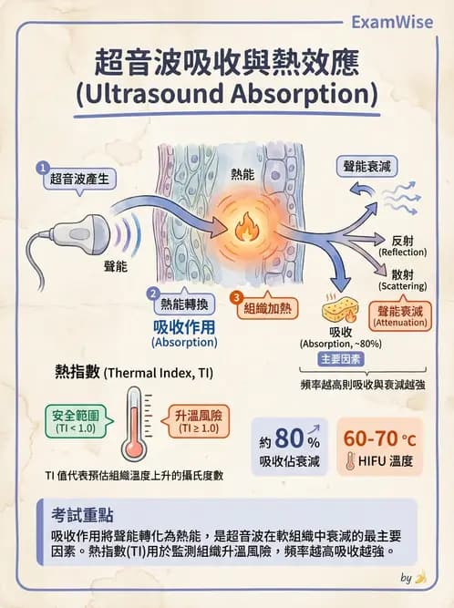放射 - 超音波物理與換能器 - AI 圖文解析預覽