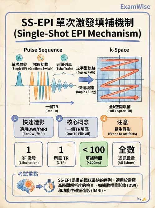 放射 - 空間編碼與影像品質 - AI 圖文解析預覽