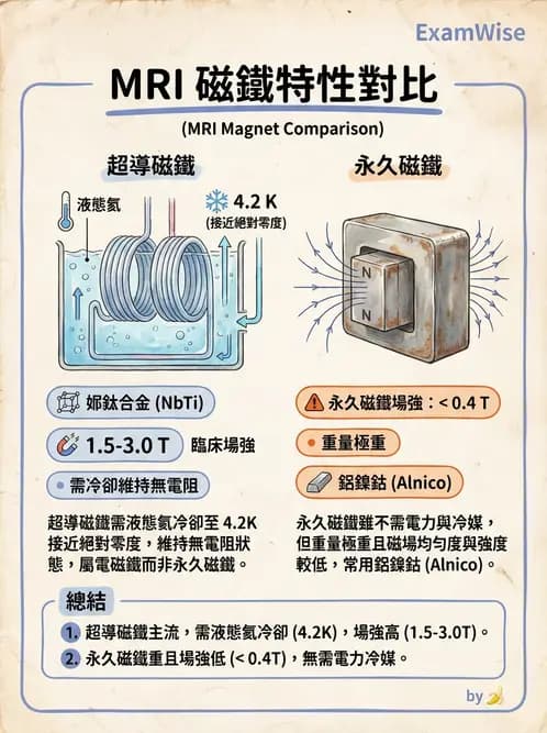 放射 - MRI基本物理與弛緩 - AI 圖文解析預覽
