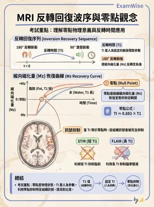 放射 - 脈衝序列與影像對比 - AI 圖文解析預覽