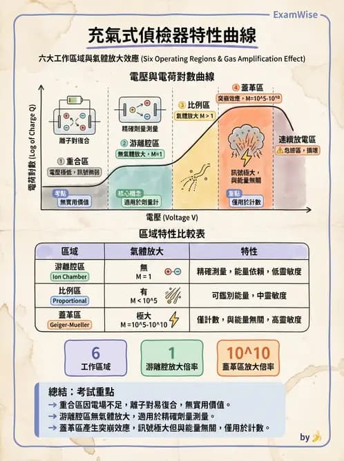 放射 - 充氣式偵檢器 - AI 圖文解析預覽