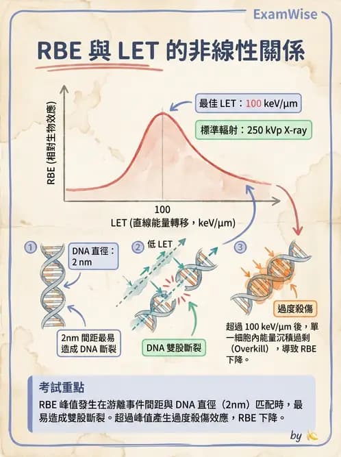 放射 - 輻射物理生物基礎 - AI 圖文解析預覽
