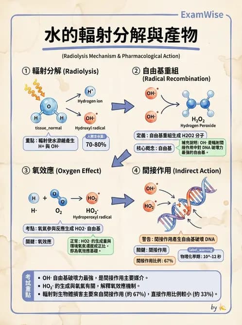 放射 - 輻射物理生物基礎 - AI 圖文解析預覽