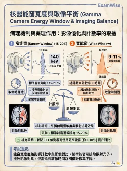 放射 - 非影像閃爍偵測器 - AI 圖文解析預覽