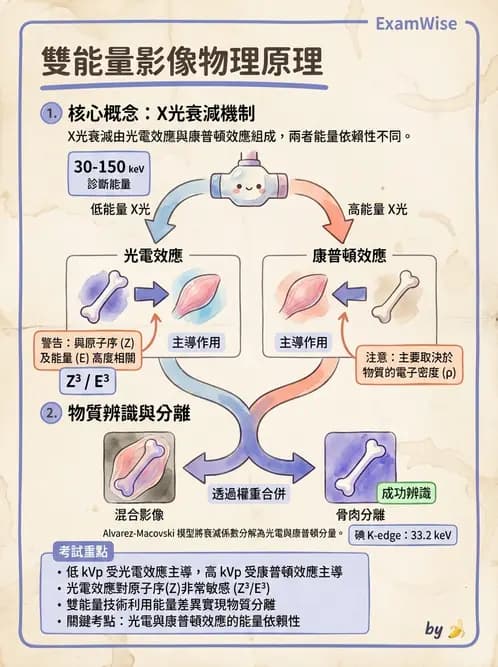 放射 - X光成像系統與影像品質 - AI 圖文解析預覽
