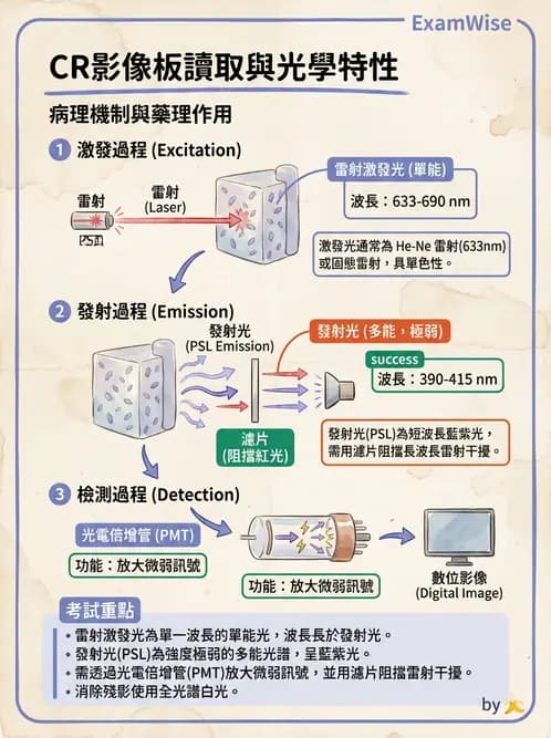 放射 - 電腦放射攝影(CR)原理與應用 - AI 圖文解析預覽