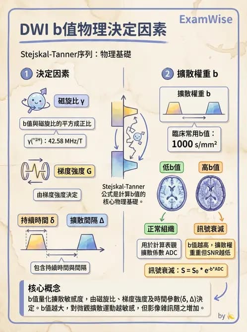 放射 - 梯度線圈與空間編碼 - AI 圖文解析預覽