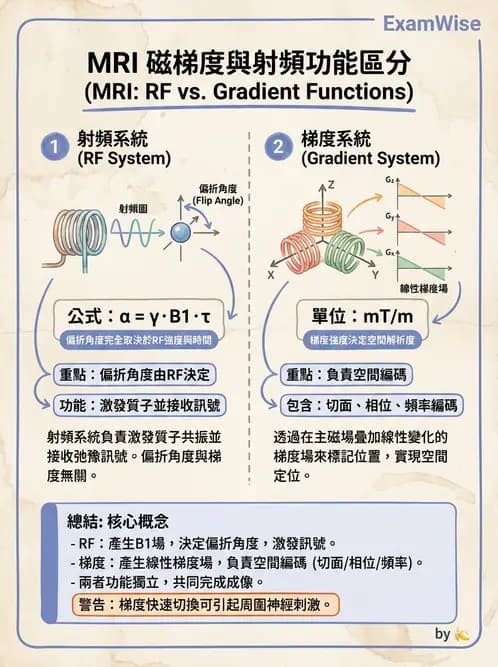 放射 - 梯度線圈與空間編碼 - AI 圖文解析預覽